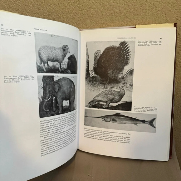 DRAWING: MASTERS AND METHODS : RAPHAEL TO REDON By Diana Dethloff - Hardcover VG - Picture 4 of 6